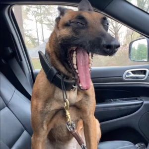 Meet your Posher, Abraham